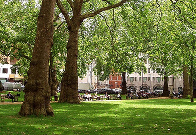 Berkeley Square, City of Westminster